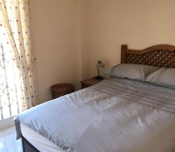 公寓 Floor Spacious With Roof Terrace 阿利坎特