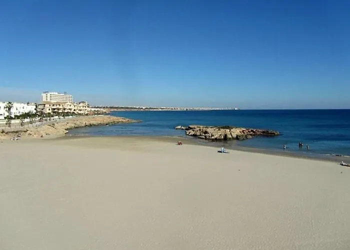 公寓 Floor Spacious With Roof Terrace 阿利坎特