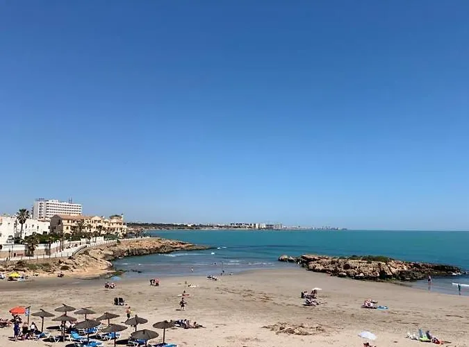 公寓 Floor Spacious With Roof Terrace 阿利坎特